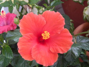 dscn0158
