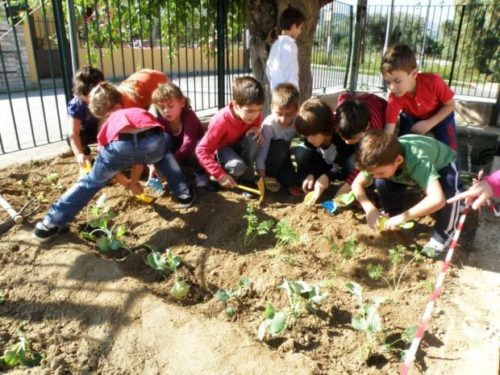 cf83cf87cebfcebbceb5ceb9cebf3