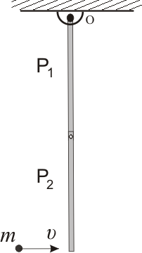 2pendulum