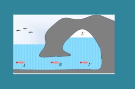 Το ψάρι, η σπηλιά και η πίεση.