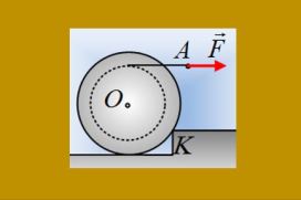 Ένας κυλινδρικός φλοιός σε  ένα σκαλοπάτι.