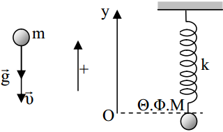 Μία “οβιδιακή* μεταμόρφωση”.