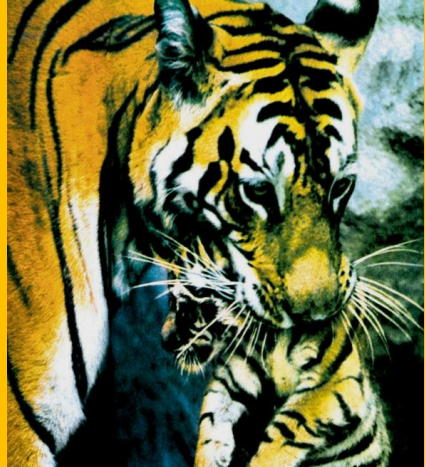 Ελάχιστη απόδοση χημικής αντίδρασης