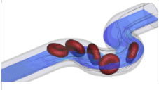 Νόμος Bernoulli – Τριβή