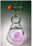 Επιλογή δείκτη…