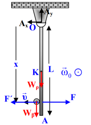 Μια εξαίρεση που επιβεβαιώνει τον κανόνα