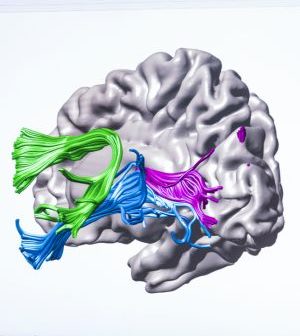 Οι Δάσκαλοι είναι μηχανικοί του εγκεφάλου.