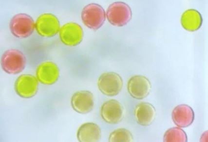 Επιστήμονες δημιούργησαν μαγνητικό υγρό