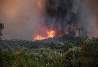 Όλα όσα πρέπει να γνωρίζουμε για την πυρκαγιά