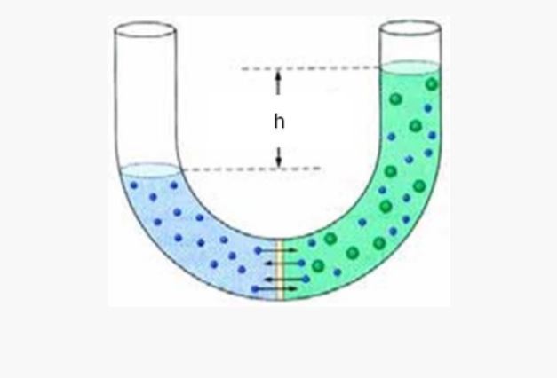 1.2 Ωσμωτική πίεση – Άσκηση