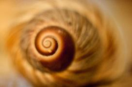 Για τις δυο ερωτήσεις σχετικότητας