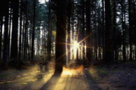 “Η φύση του φωτός” σε pptx.