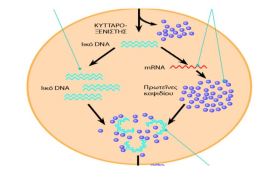 Ιοί και Πανδημίες