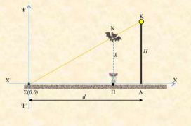 Η νυχτερίδα και η σκιά της