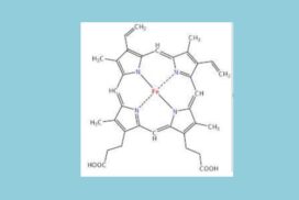 Δεσμός υδρογόνου και 34ος ΠΔΧΜ