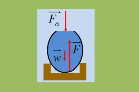 Η δύναμη που δέχεται το δοχείο.