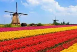 Στη χώρα των (πολλών) ποδηλάτων