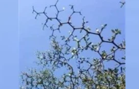 Θέματα Πανελλαδικών Εξετάσεων Χημείας