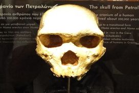 Ραδιοχρονολόγηση δείχνει 290 χιλ. χρόνια το κρανίο Πετραλώνων.