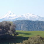 Ιωάννης Πανίτσας